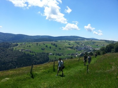 Hiking in the sunny Black Forest
